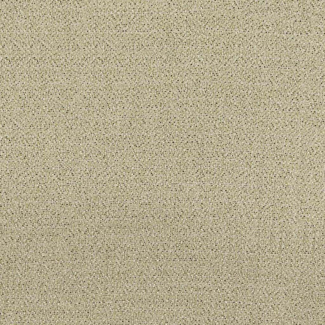 Nightfall Sandstone by RM CoCo Fabric