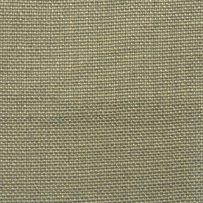 1342Cb Aloe by RM CoCo Fabric Instinct 100% Linen See Sample 0 Horizontal: 0 and Vertical: 0 54 - Fabric Carolina -