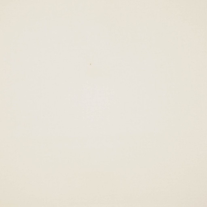 Platinum Parchment by RM CoCo Fabric Platinum II 100% Combed Cotton See Sample 0 Horizontal: 0 and Vertical: 0 54 - Fabric Carolina -