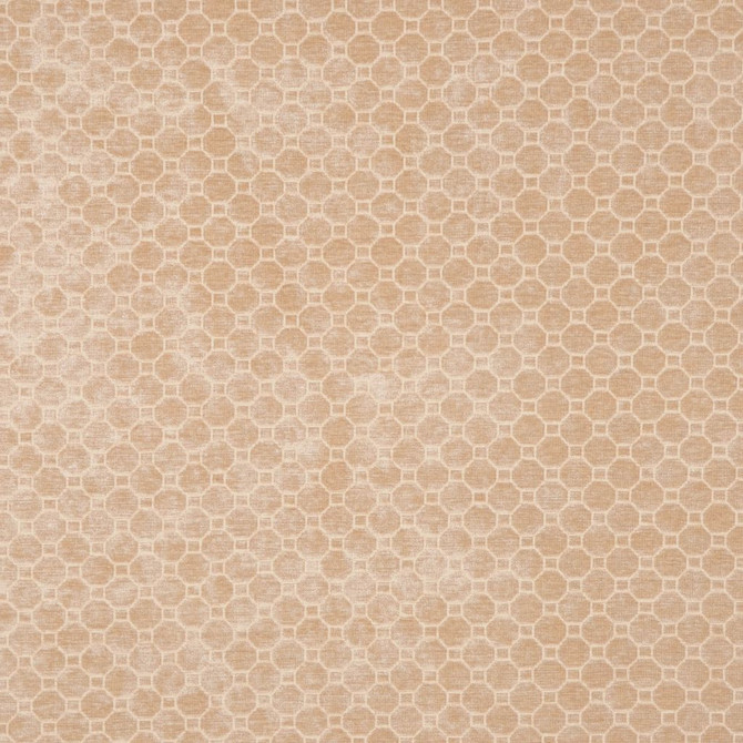 Jersey Parchment by RM CoCo Fabric Colony 100% Polyester See Sample 0 Horizontal: 0.94 and Vertical: 0.94 55 - Fabric Carolina -