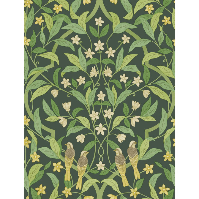 Jasmine & Serin Symphony Yellow/Grn/Forest by Cole & Son Wallcovering COLE & SON SEVILLE NON WOVEN - 100% United Kingdom Horizontal: 20.5 and Vertical: 27 20.5 - Fabric Carolina -