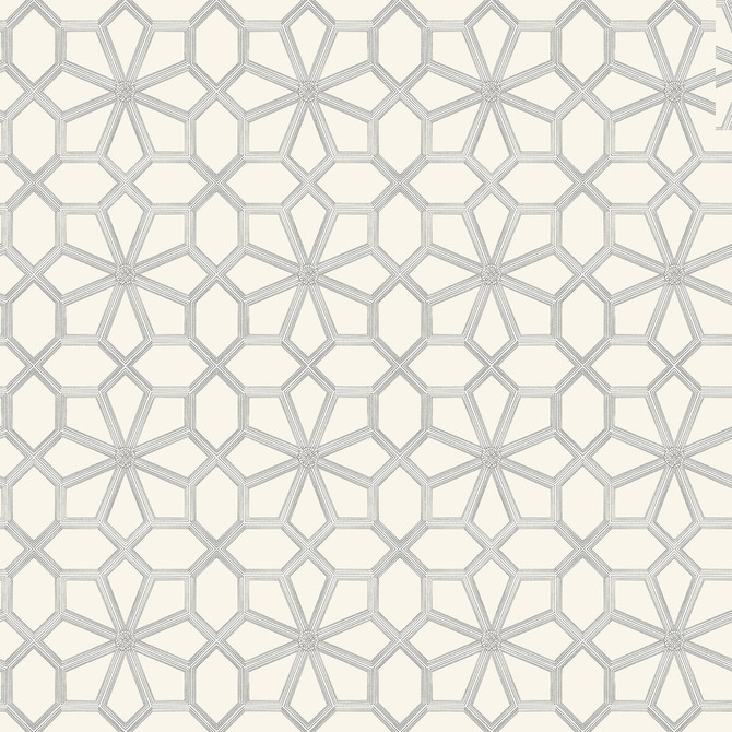 Wolsey Stars Soot On Snow by Cole & Son Wallcovering COLE & SON HISTORIC ROYAL PALACES-GREAT MASTERS NON WOVEN - 100% United Kingdom Horizontal: 20.5 and Vertical: 20.5 20.5 - Fabric Carolina -