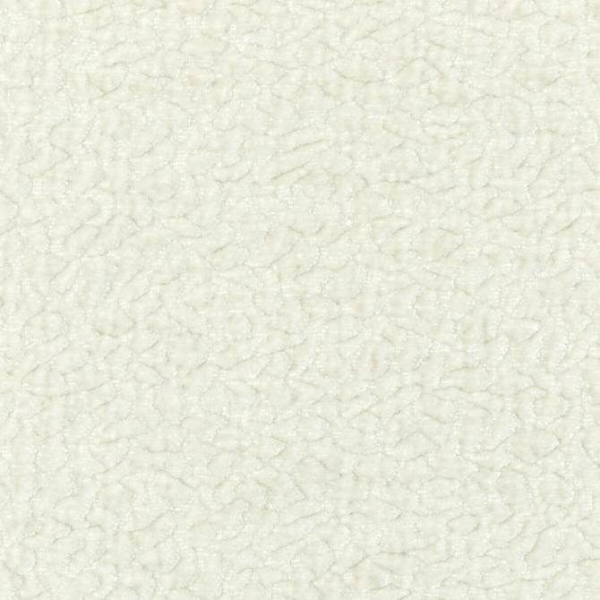 Barton Chenille Cloud by Kravet Smart Fabric POLYESTER - 100% India HEAVY Horizontal: 12 and Vertical: 4 54 - Fabric Carolina -