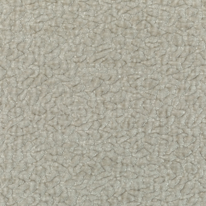 Barton Chenille Dove by Kravet Smart Fabric POLYESTER - 100% India HEAVY Horizontal: 12 and Vertical: 4 54 - Fabric Carolina -