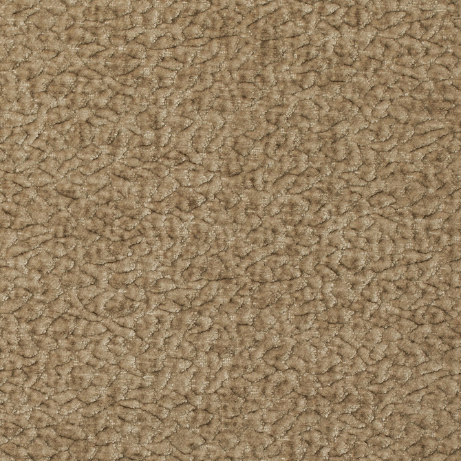 Barton Chenille Champagne by Kravet Smart Fabric POLYESTER - 100% India HEAVY Horizontal: 12 and Vertical: 4 54 - Fabric Carolina -