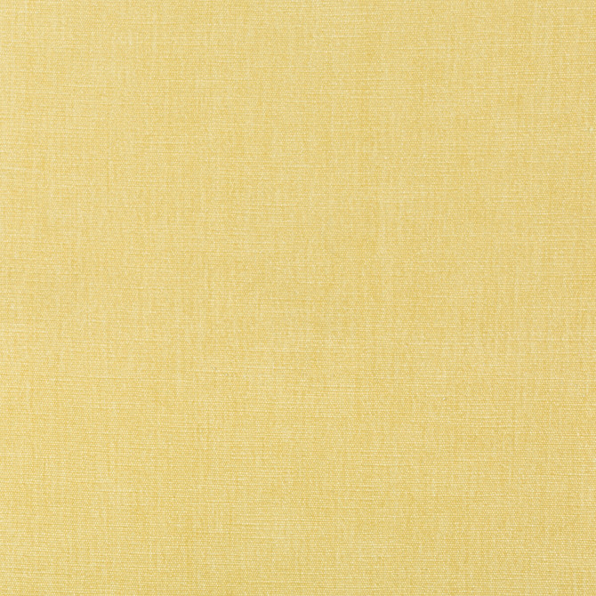 36076-1116 by Kravet Smart Fabric PERFORMANCE KRAVETARMOR POLYESTER - 62%;COTTON - 38% India HEAVY Horizontal: 0 and Vertical: 0 54 - Fabric Carolina -