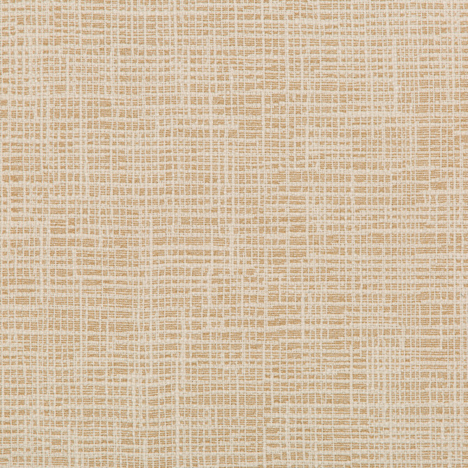 36083-1616 by Kravet Design Fabric INSIDE OUT PERFORMANCE FABRICS POLYESTER - 100% United States HEAVY Horizontal: 10.69 and Vertical: 6.25 54.5 - Fabric Carolina -
