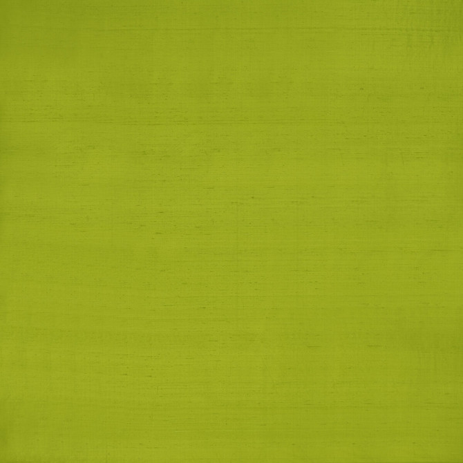 Slyph Lime by Clarke And Clarke Fabric Clarke And Clarke Fabric Slyph LimeFabric WILDERIE BY EMMA J SHIPLEY FOR C&C SILK - 100% India </p><p>Repeat: H: 0, V: 0 54 - Fabric Carolina -