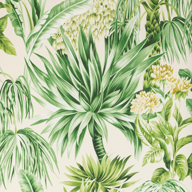 Caluya Paper Palm by Lee Jofa Wallcovering MINDORO WALLPAPER WOOD PULP - 45%;BINDER - 20%;MINERAL FILLERS - 20%;POLYESTER - 15% United Kingdom Horizontal: 27.5 and Vertical: 37.4 27.5 - Fabric Carolina -