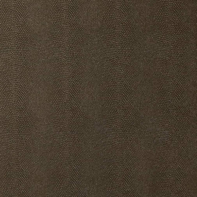 V597 Raven by Charlotte Fabric Exotics II 100% Vinyl Asia Exceeds 200,000 Wyzenbeek Rubs (Heavy Duty) </p><p>Repeat: Horizontal: 3" 54 Inches - Fabric Carolina -