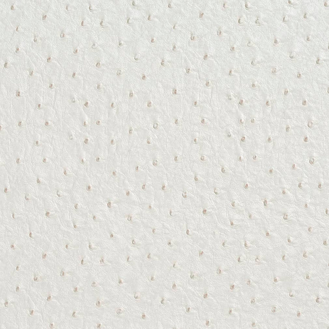 V623 Cream by Charlotte Fabric Exotics II 100% Vinyl, 34oz. Asia Exceeds 200,000 Wyzenbeek Rubs (Heavy Duty) </p><p>Repeat: 54 Inches - Fabric Carolina -