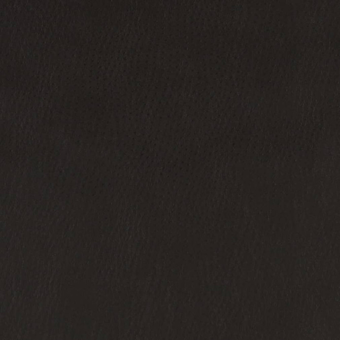 V625 Ebony by Charlotte Fabric Exotics II 100% Vinyl, 34oz. Asia Exceeds 200,000 Wyzenbeek Rubs (Heavy Duty) </p><p>Repeat: 54 Inches - Fabric Carolina -