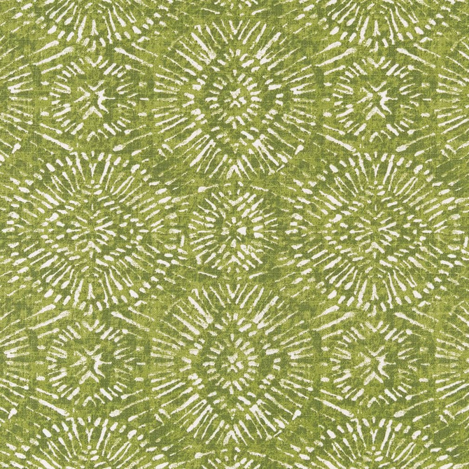 D2498 Lime by Charlotte Fabric Patio Prints 100% Polyester Made In USA Exceeds 60,000 Wyzenbeek Rubs (Heavy Duty) </p><p>Repeat: Horizontal 13.5" x Vertical 12.5" 54 Inches - Fabric Carolina -