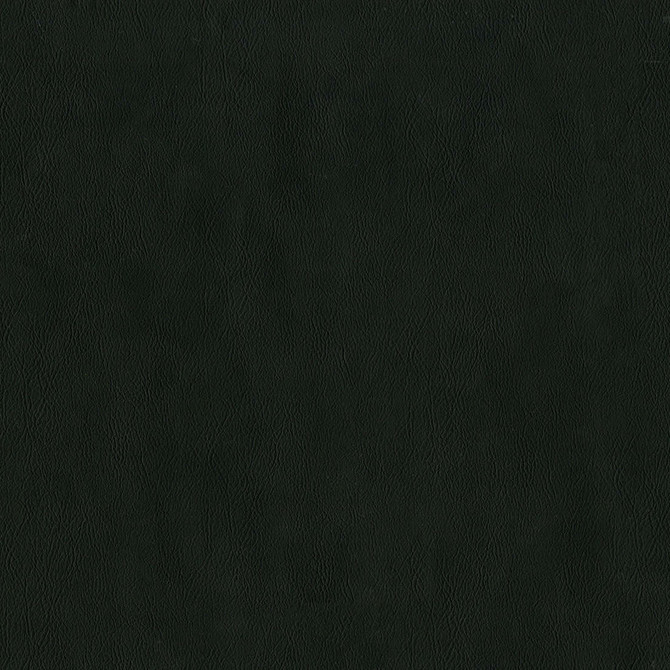 F2881 Raven by Greenhouse Fabric 100% Vinyl, Backing: 100% Polyester China 1,500,000 </p><p>Repeat: None 54" - Fabric Carolina -