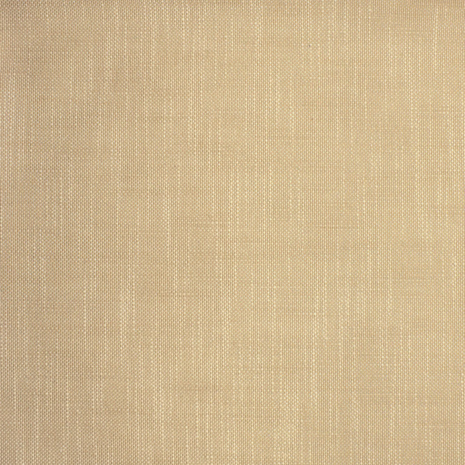 S2135 Latte by Greenhouse Fabric 95.65% Polyester (Uv), 4.35% Olefin (Uv) USA 72,000 double rubs </p><p>Repeat: .063" H, .063" V 56" - Fabric Carolina -