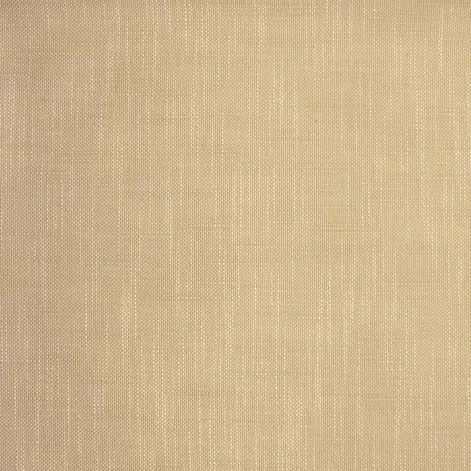 S2135 Latte by Greenhouse Fabric 100% Polyester (Uv) USA 105,000 </p><p>Repeat: .063" H, .063" V 55" - Fabric Carolina -