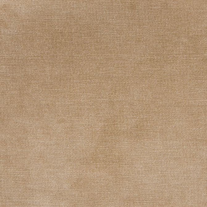 B1255 Taupe by Greenhouse Fabric E99: velvets by COLOR 90% Polyester, 10% Nylon China 100,000 double rubs </p><p>Repeat: None 58" - Fabric Carolina -