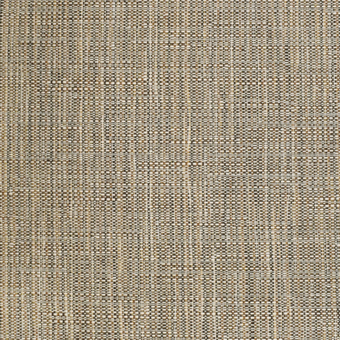 S3703 Twig by Greenhouse Fabric 63.47% Olefin, 36.53% Cotton USA 33,000 double rubs </p><p>Repeat: 7.063" H, 16.5" V 55" - Fabric Carolina -