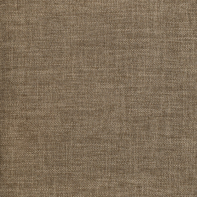 F2939 Taupe by Greenhouse Fabric 100% Polyester China 350,000 double rubs </p><p>Repeat: No Definite Repeat 54" - Fabric Carolina -