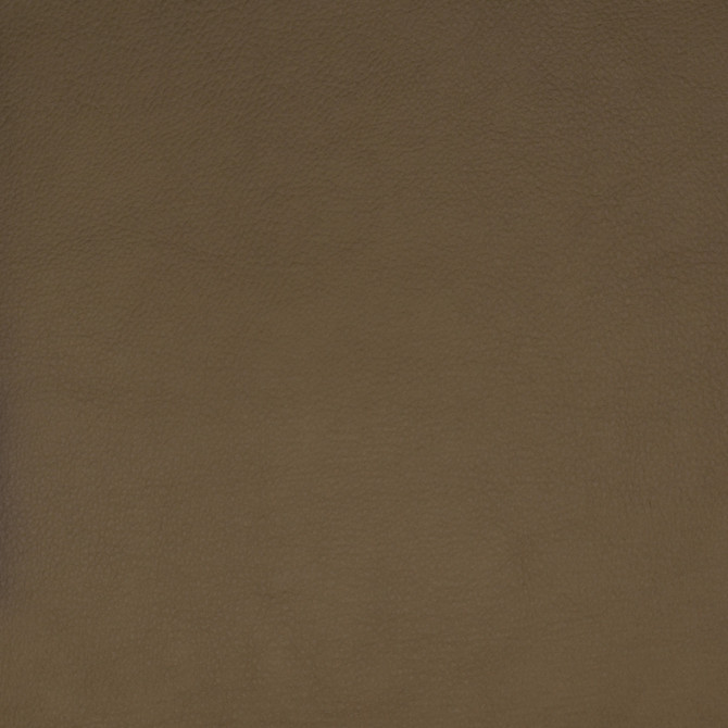 F1859 Beige by Greenhouse Fabric Contents: 100% Polyerethane, Backing: 85% Polyester, 15% Cotton China 100,000 double rubs </p><p>Repeat: NONE 58" - Fabric Carolina -