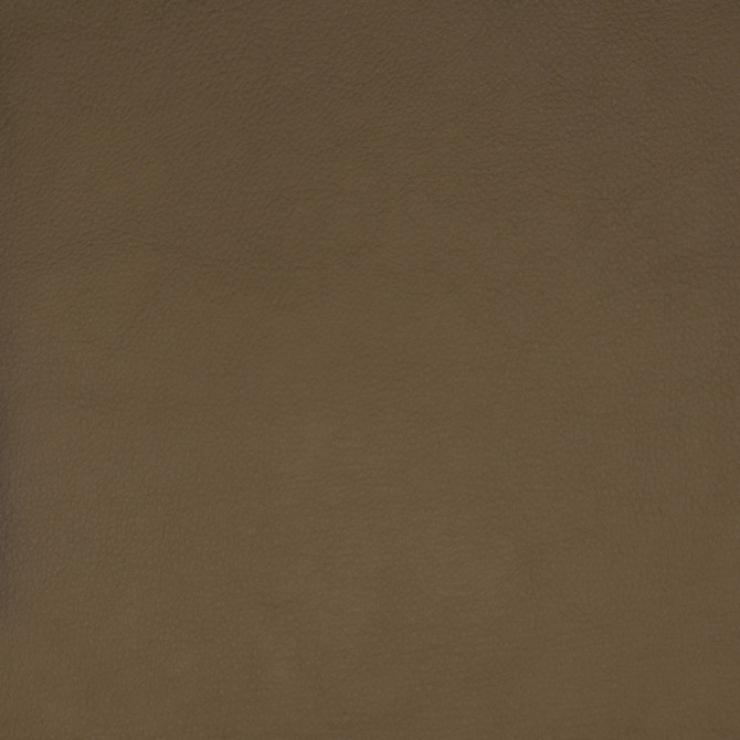 F1859 Beige by Greenhouse Fabric Contents: 100% Polyerethane, Backing: 85% Polyester, 15% Cotton CHINA 100,000 </p><p>Repeat: NONE 58" - Fabric Carolina -