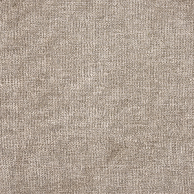 B1262 Birch by Greenhouse Fabric E99: velvets by COLOR 90% Polyester, 10% Nylon China 100,000 double rubs </p><p>Repeat: None 58" - Fabric Carolina -