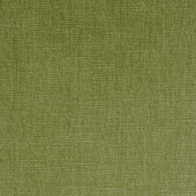 S3952 Aloe by Greenhouse Fabric 62% Polyester, 38% Cotton India 51,000 double rubs </p><p>Repeat: None 54" - Fabric Carolina -