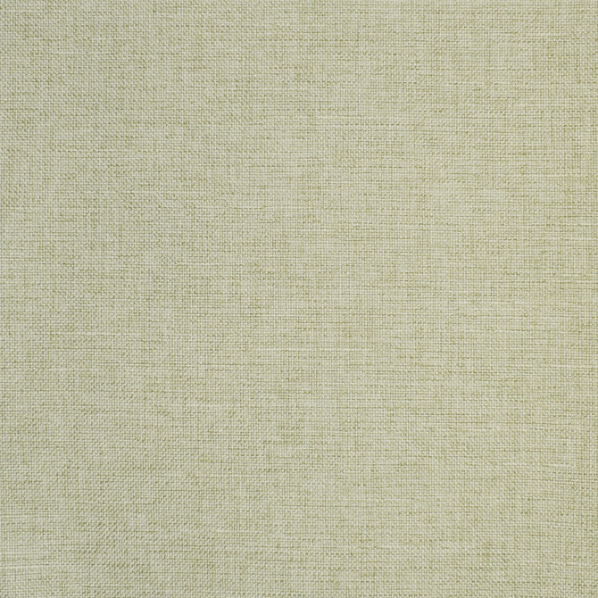 S2864 Celery by Greenhouse Fabric 100% Polyester China 51,000 double rubs </p><p>Repeat: None 55" - Fabric Carolina -