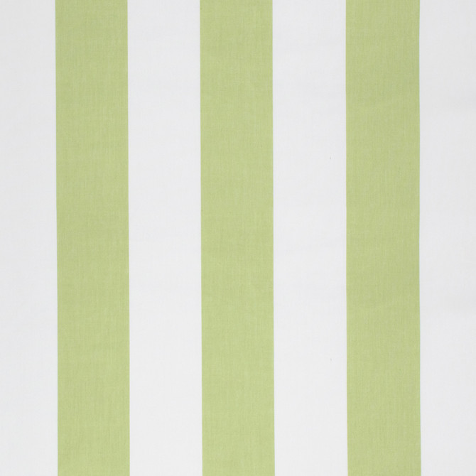 S1264 Celery by Greenhouse Fabric 100% Polyester 2,000 Light Hours Taiwan 427,500 double rubs </p><p>Repeat: 8" H 54" - Fabric Carolina -