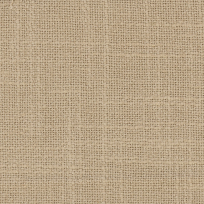 Prophet Dove by Carole Fabric Prominence 79% Cotton, 21% Polyester India  None 55"  - Fabric Carolina -