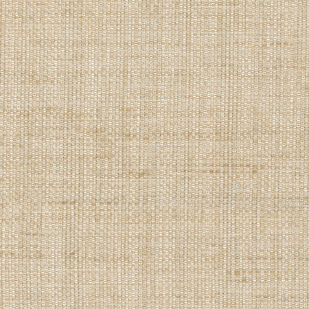 Breather Linen by Carole Fabric Synchrony 100% Polyester Turkey 30,000 Wyzenbeek Double Rubs </p><p>Repeat: None 54" - Fabric Carolina -