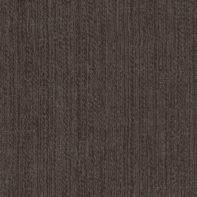 Inspire Charcoal by Carole Fabric Synchrony 100% Polyester China N/A None 57"  - Fabric Carolina -