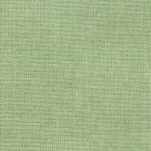 Rally Palm by Norbar Fabric ATRIUM 100% POLYESTER WITH ACRYLIC S. KOREA 55 - Fabric Carolina -