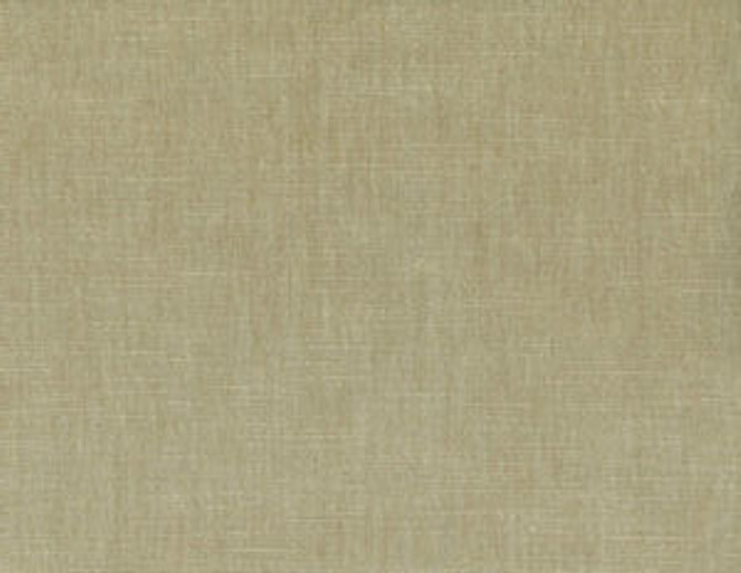 Bixby Champagne 207 by Norbar Fabric BIXBY 62% POLYESTER 38% COTTON INDIA 51,000 WYZENBEEK 54 - Fabric Carolina -
