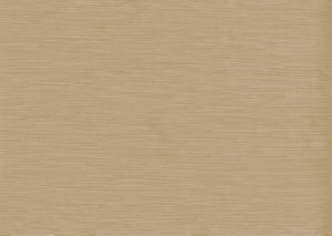 Bliss Sand by Norbar Fabric BLISS 100% INHERENTLY FLAME INDIA 54 - Fabric Carolina -