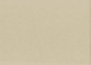 Viscaya Butter by Norbar Fabric BLISS 100% INHERENTLY FLAME INDIA 54 - Fabric Carolina -