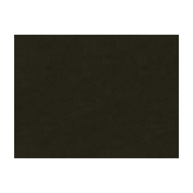 Charmant Velvet Coal by Brunschwig & Fils Fabric Brunschwig & Fils Fabric Charmant Velvet CoalFabric COTTON - 61%;VISCOSE - 39% Netherlands </p><p>Repeat: H: , V: 55 - Fabric Carolina -