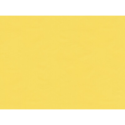 BR-81081.K.0 by Brunschwig & Fils Fabric Brunschwig & Fils Fabric BR-81081.K.0Fabric SILK - 100% France </p><p>Repeat: H: , V: 50 - Fabric Carolina -