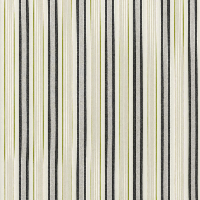Belvoir Charcoal/Chartreu by Clarke And Clarke Fabric Clarke And Clarke Fabric Belvoir Charcoal/ChartreuFabric CLARKE & CLARKE BOTANIST COTTON - 73%;POLYESTER - 27% India </p><p>Repeat: H: 5.25, V: 0 54 - Fabric Carolina -