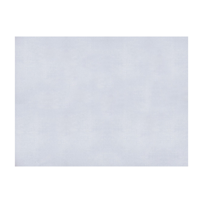 Sukhothai White by Brunschwig & Fils Fabric Brunschwig & Fils Fabric Sukhothai WhiteFabric JAGTAR SILK - 100% Thailand </p><p>Repeat: H: 0, V: 0 55 - Fabric Carolina -