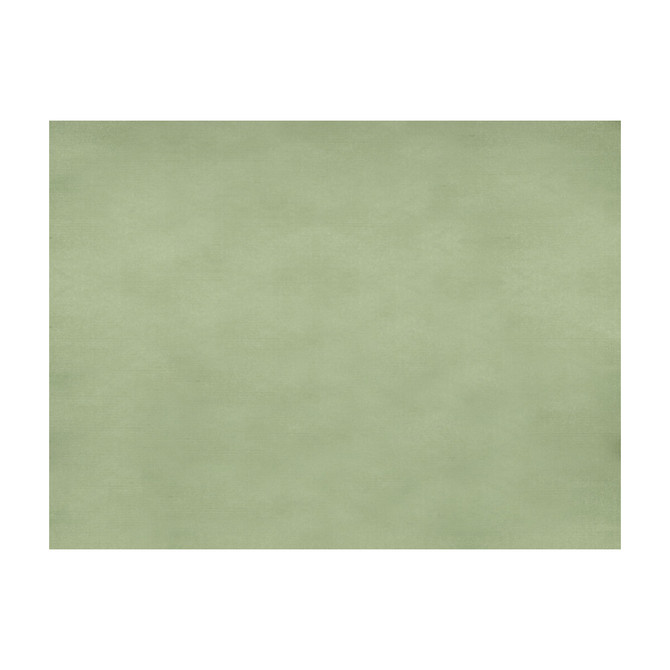 Sukhothai Celadon Green by Brunschwig & Fils Fabric Brunschwig & Fils Fabric Sukhothai Celadon GreenFabric JAGTAR SILK - 100% Thailand </p><p>Repeat: H: 0, V: 0 55 - Fabric Carolina -