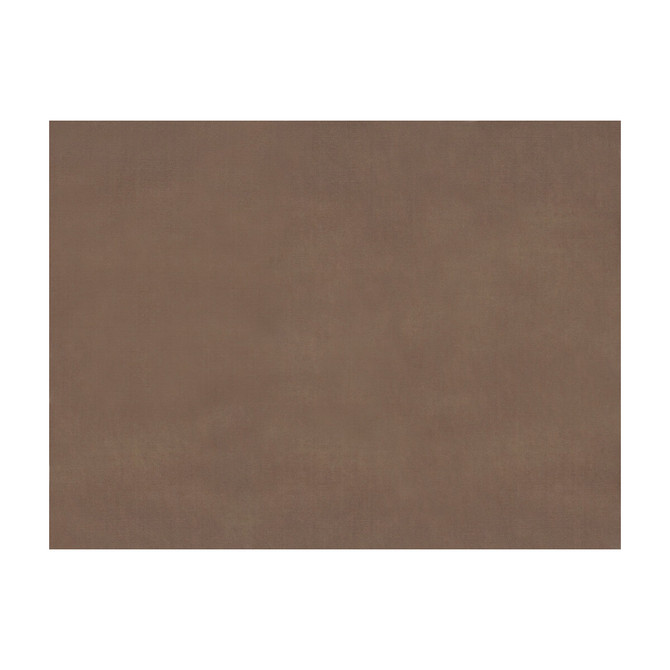 Sukhothai Sandstone by Brunschwig & Fils Fabric Brunschwig & Fils Fabric Sukhothai SandstoneFabric JAGTAR SILK - 100% Thailand </p><p>Repeat: H: 0, V: 0 55 - Fabric Carolina -