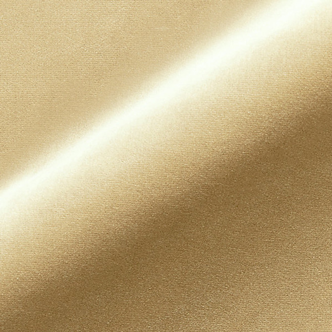 Torino Velvet/Sand Mt 00031247 by Old World Weavers Fabric TORINO VELVET 100% COTTON ITALY MEDIUM DUTY Horizontal: 0" and Vertical: 0" 55" - Fabric Carolina -