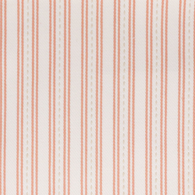 Tara 4 Salmon by Stout Fabric Stout Fabric Tara 4 SalmonFabric RAINBOW LIBRARY CAMELLIA/CLAY PORTUGAL </p><p>Repeat: H: 1.125, V: 0.000 54 in - Fabric Carolina -