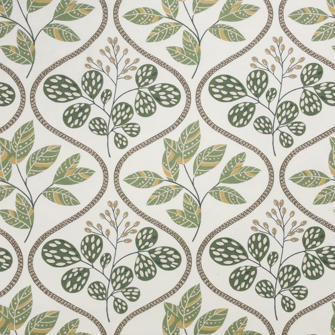 Hutton 2 Seedling by Stout Fabric Stout Fabric Hutton 2 SeedlingFabric RAINBOW LIBRARY PEAR/JUNGLE 100%COT SPAIN </p><p>Repeat: H: 9.000, V: 9.000 54 in - Fabric Carolina -