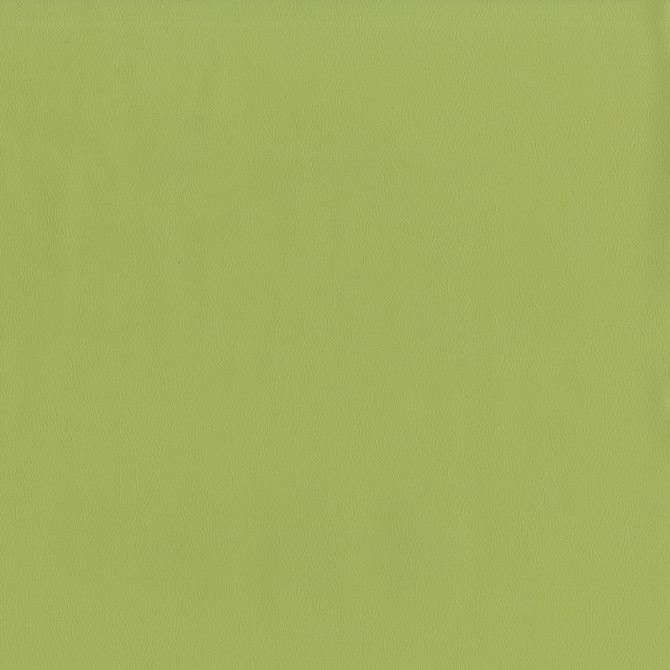 Jackson # 615 Aloe by Maxwell Fabric Jackson FACE: 100% PVC
BACKING: 100% POLYESTER CHINA 55" - Fabric Carolina -