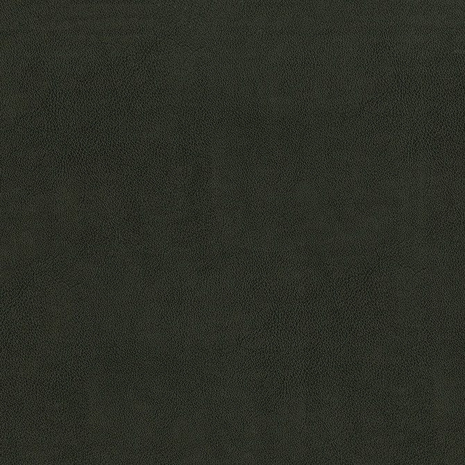 Jackson # 639 Cobra by Maxwell Fabric Jackson FACE: 100% PVC
BACKING: 100% POLYESTER CHINA 55" - Fabric Carolina -