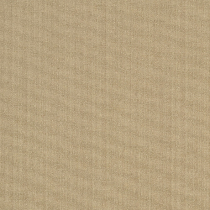 Champion 11J6391 by JF Fabric Champion Book 83% Polyester, 17% Cotton India 90000 H: , V: 55 - Fabric Carolina -
