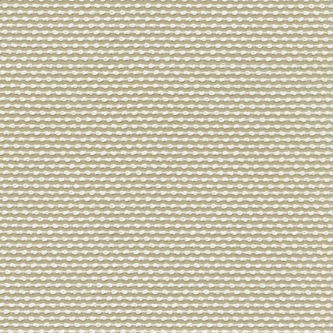 Breuer Pachment 411510 by PKL Studio Fabric - 100% polyester China 24000 Horizontal: .4 and Vertical: .5 56 - Fabric Carolina -