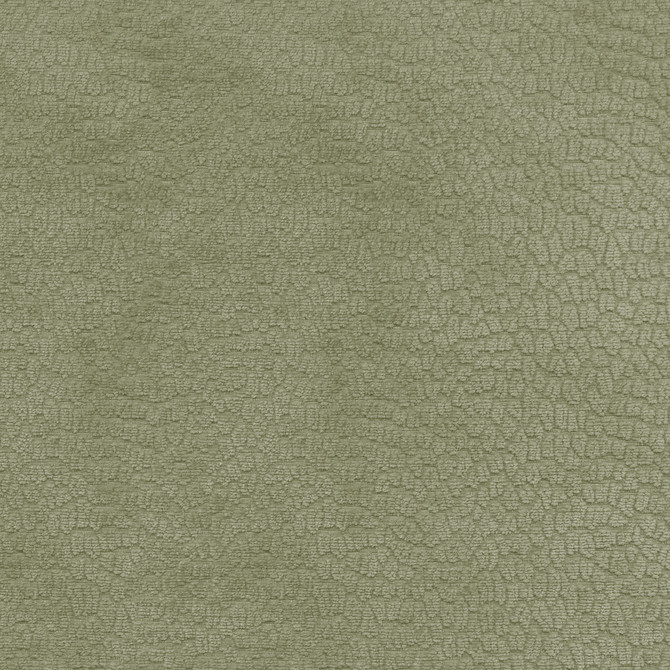 Performance Pebblestone Sage 411469 by PKL Studio Fabric - 100% polyester China 51000 Horizontal: 6.8 and Vertical: 6.8 55 - Fabric Carolina -